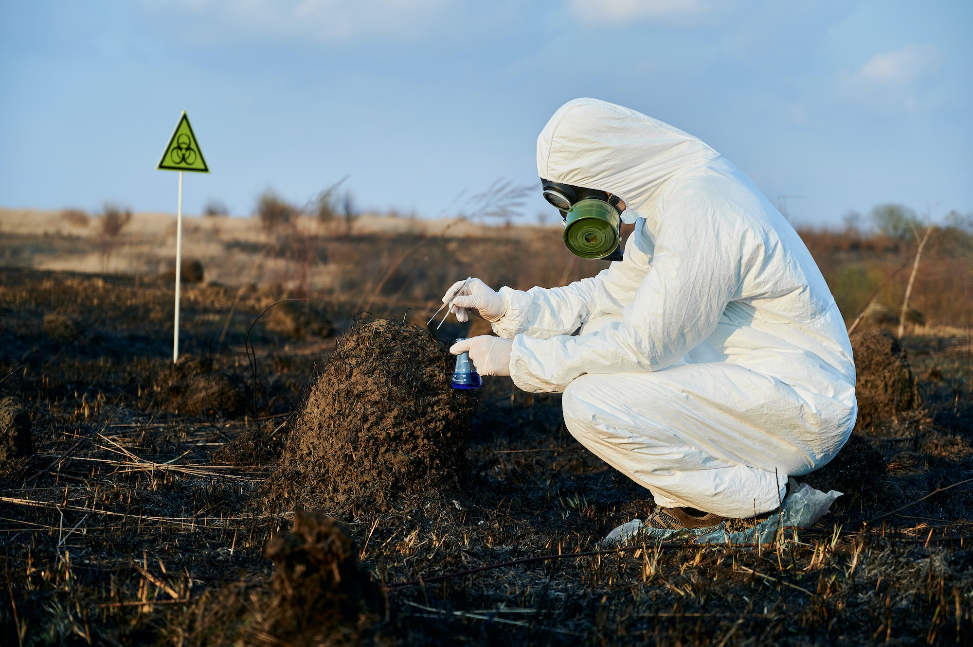 Scientist exploring flora and soil at burnt field.